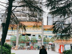 -沙市市中山公园