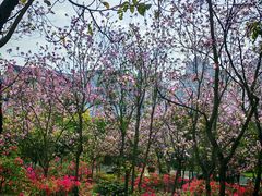 -南宁市凤岭儿童公园