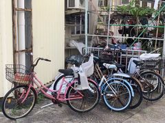-长洲岛