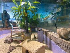 -顺德南宏海立方海洋公园