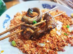 鳝鱼-晓靖轩烧烤(沙河风情店)