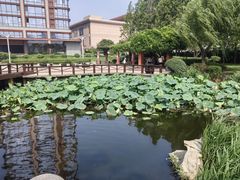 -丁家河公园
