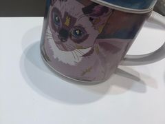 -飞行喵MR PILOT|猫舍·猫咖(静安大融城店)