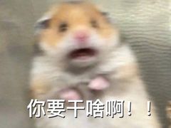 -山东师范大学(千佛山校区)