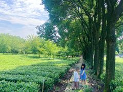 -陶祖圣境风景区
