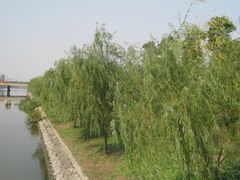 -美兰湖景区