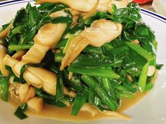 -张鸟园农家乐(张鸟园店)