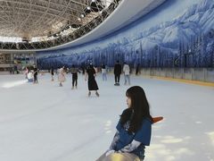 -世界之窗阿尔卑斯冰雪世界