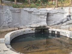 android_upload_pic-敬亭山风景名胜区