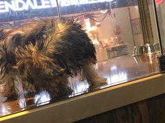 -乐宠宠物店(世纪金源店)