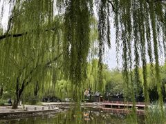 -玲珑塔公园