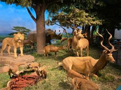 -国家自然博物馆