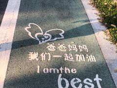 -王借岗森林公园