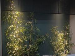 -臻品足道(佛祖岭店)