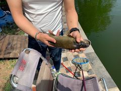 -酷鱼垂钓CLUB(朝阳区博大路店 )