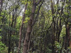 -广州市白云山风景名胜区