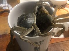 -蒙肥羊·酸汤潮牛·鲜牛肉火锅烤肉自助(岗顶店)