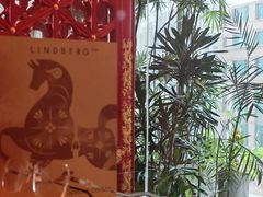 -大视光学•LINDBERG林德伯格•全球手工眼镜集合店(王府井店)