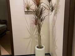 -谧境·爱SPA(春熙路店)