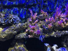 -石林冰雪海洋世界