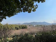-香雪海