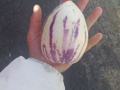 -南门绿玉农贸市场