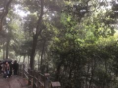 -灵顺寺