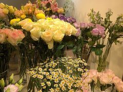 -花未央花店·WEYOUNG