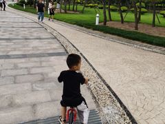 -日照灯塔风景区