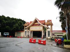-大湾区中央湿地公园-十九涌