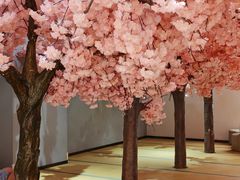 -陆地游轮西山温泉号