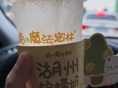 柠檬奶-猫的魔法密林(衣裳街店)