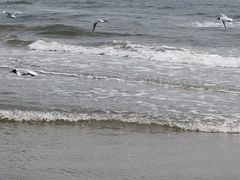 -北戴河东海水浴场