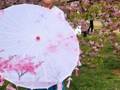 -莲花池公园