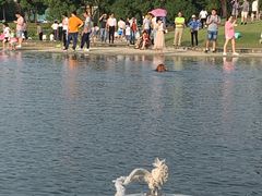 -美兰湖景区