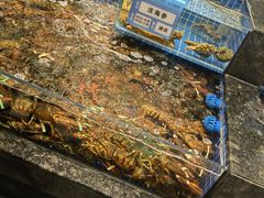 -东海怡品海鲜豆捞(舟宿夜江店)