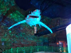 -青岛嘉年华主题乐园