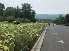 -钟山体育运动公园