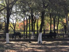 -长白岛森林公园