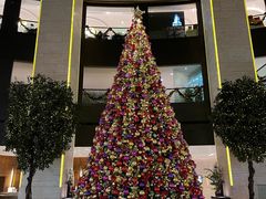 -皇朝尊会(龙之梦大酒店)