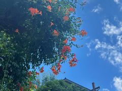 -杭州西湖风景名胜区-满觉陇四眼井