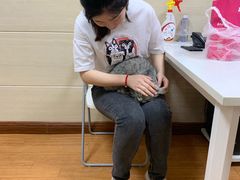 -北京观赏动物医院·24小时大型综合·猫专科·异宠专科