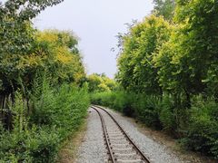 -西青郊野公园