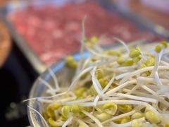 -老北京涮羊肉(航东路店)