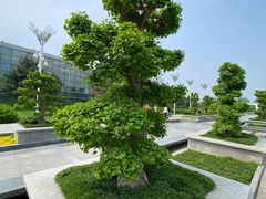 -石家庄市植物园