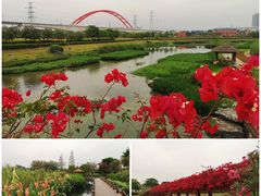 -那考河湿地公园