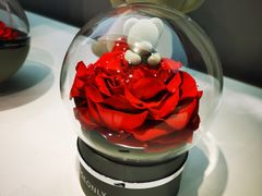 -ROSEONLY诺誓(广州K11店)
