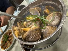 一桶黄蚬-渔娘渔家丹东海鲜(东直门店)