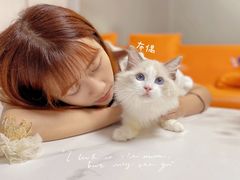 -lincat·猫舍(广州店)