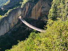 -武陵山森林公园